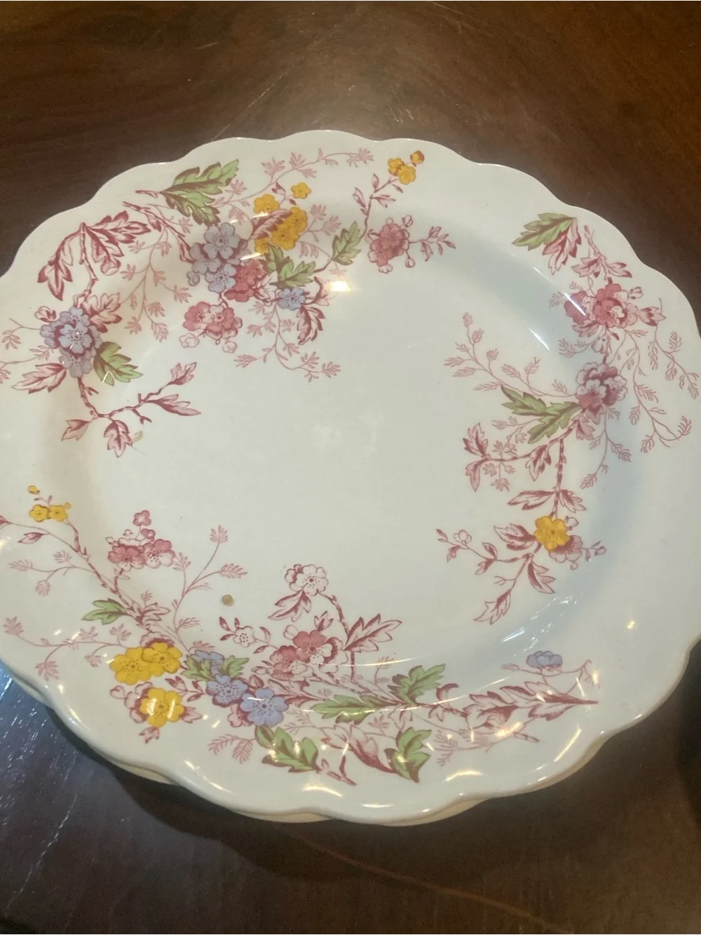 SR Ridgeway Ironstone Staffordshire England “ English Garden 6 piece set
